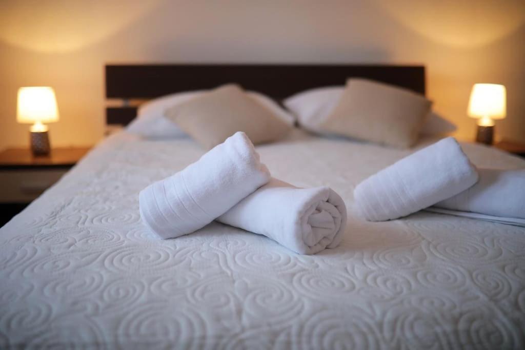 Luxury Apartment Petra With Private Pool Zadar Zewnętrze zdjęcie